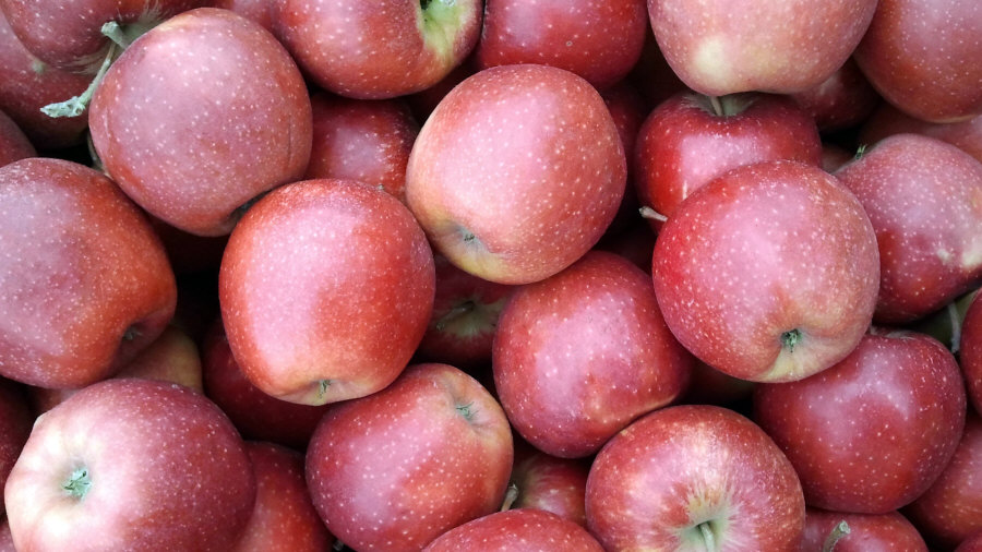 Lengyel gyümölcs exportőr, alma, körte, szilva, cseresznye, nagykereskedelem Lengyelország 02